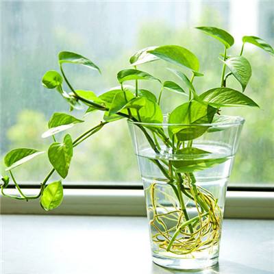 leyu·乐鱼体育手机app下载